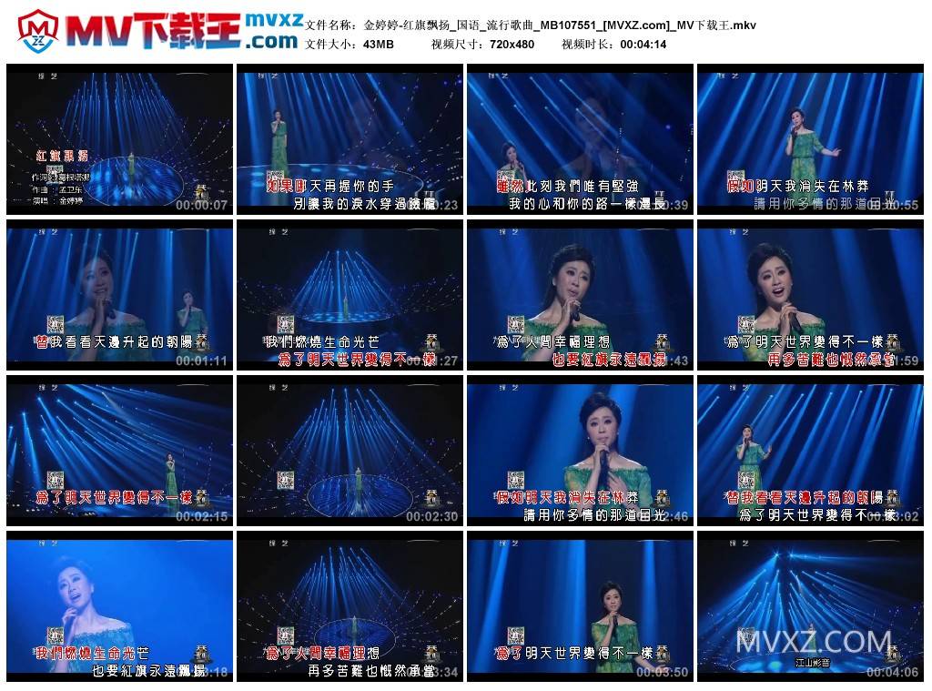 金婷婷-红旗飘扬_国语_流行歌曲_MB107551